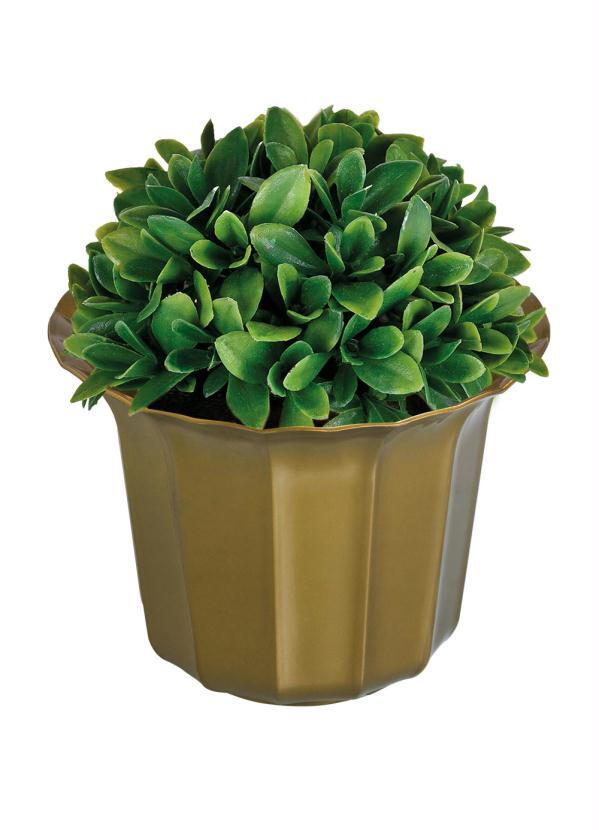 Vaso Tulipa Canelada Vaso Tulipa Canelada