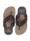 Cartago - Chinelo Infantil Montreal Cartago 12515 Café/Bege - variação: Café/Bege