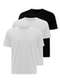 Hering - Kit com 3 Camisetas Masculina Hering 0227 Branco-Preto - variação: Branco-Preto