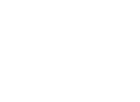 Black Friday - Quintess